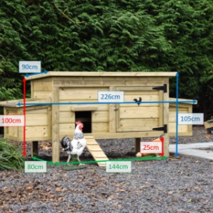 Verschillende afmetingen van kippenhok Eggy