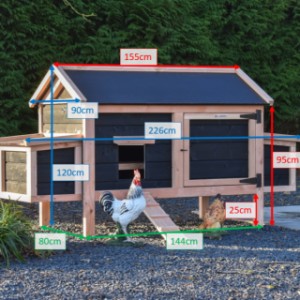 Verschillende afmetingen van kippenhok Eggy