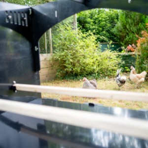 De binnenkant van het kippenhok Aspen 6