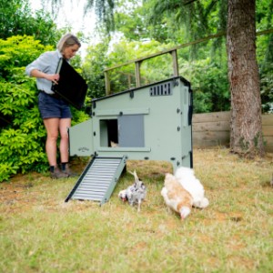 Kippenhok Nestera Aspen 6