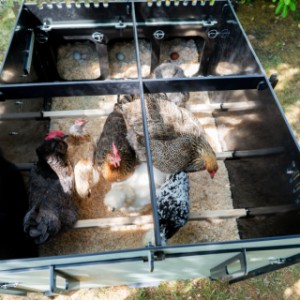 Bovenaanzicht van kippenhok Nestera Aspen 10