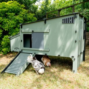 Nestera kippenhok Aspen 10 Kunststof kippenhok 150x98x100cm