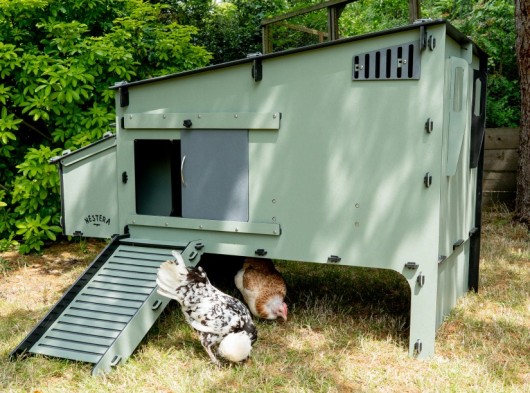 Nestera kippenhok Aspen 10 Kunststof kippenhok 150x98x100cm