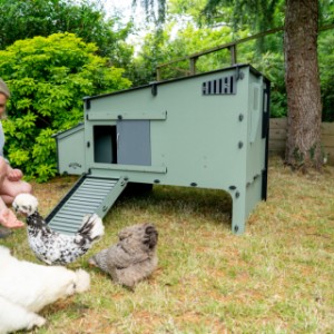 Nestera kippenhok Aspen 10 Kunststof kippenhok 150x98x100cm