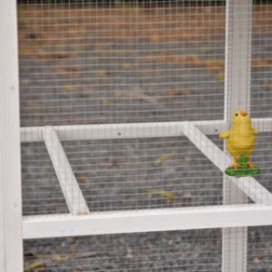 In de ren van kippenhok Alexia zitten 2 zitstokken