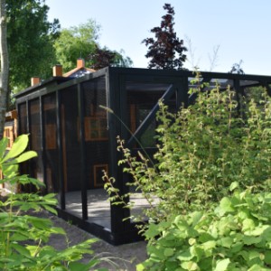 Het hok is geschikt voor kippen, konijnen en andere kleine dieren