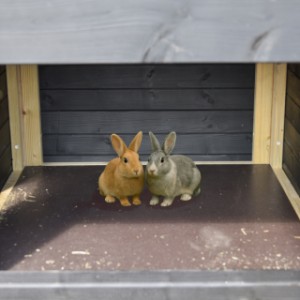 Beneden hebben de konijnen een rustige, veilige plek om heerlijk te ontspannen.