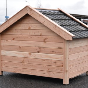 Neem een kijkje aan de achterkant van hondenhok turbo