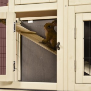 Door de loopplank kunnen de konijnen van de ene verdieping naar de andere verdieping lopen van konijnenkooi Bobby