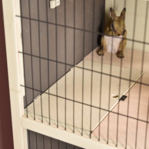 De 2 verdiepingen van konijnenkooi Bobby zijn afsluitbaar van elkaar