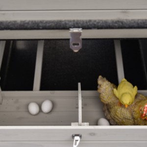 Het legnest is opgesplitst in 2 delen