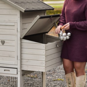 Door de handige kleplat kan u makkelijk eitjes pakken uit het legnest van Prestige medium