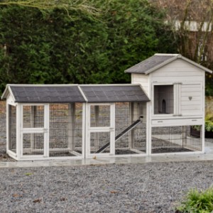 Prestige Medium Light-grey met 2 rennen