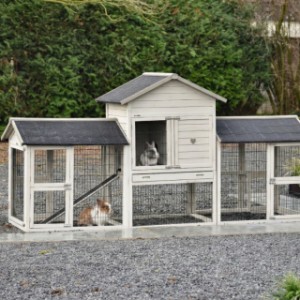 Prestige Medium met dubbele ren Light-grey Anti Knaag