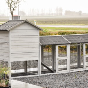 Neem een kijkje aan de achterkant van de prestige medium met dubbele ren