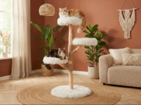 Katten klimboom Fagus Wit 129cm