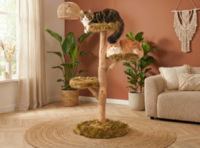 Katten klimboom Fagus 129cm