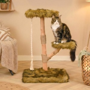 Katten klimboom Prunus 85cm