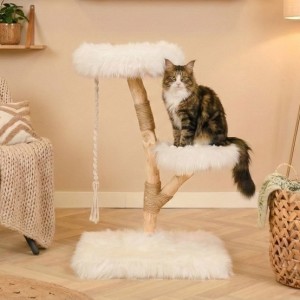 Katten klimboom Prunus Wit 85cm