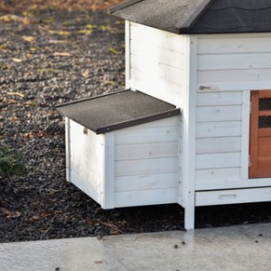 Dit is het legnest van Ambiance large