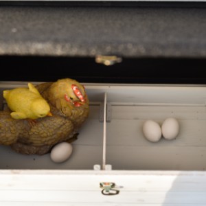 Het legnest van Ambiance large is opgesplitst in 2 delen