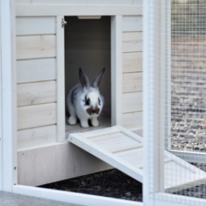 Het deurtje van het nachthok van Ambiance large is tegelijk een loopplank