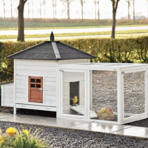 Kippenhok Ambiance Large met ren 218x93x122cm