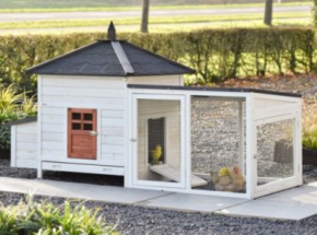 Kippenhok Ambiance Large met ren 218x93x122cm