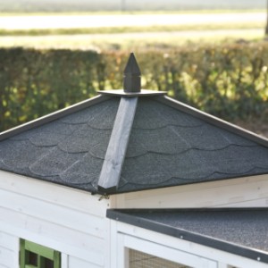 Het dak van Ambiance large is afneembaar