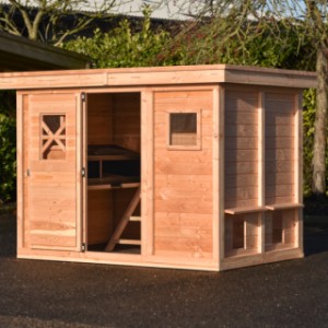 Neem een kijkje in het gezellige kippenhok