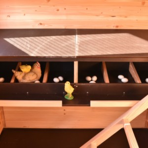 Dit heerlijk grote leghok is geschikt voor 6 kippen te gelijk.