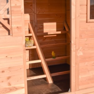 In het hok zitten 2 zitstok ladders met 4 zitstokken per ladder