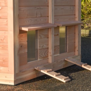 Aan de buitenkant bij de uitloop luiken zitten 2 loopplanken zodat kippen makkelijk naar buiten en naar binnen kunnen lopen