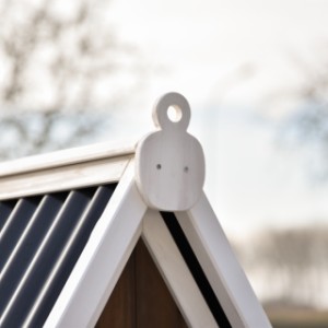 Kijk eens naar het mooie sierornament van kippenhok Pip