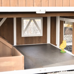 Het kuikentje kijkt even door het uitloopluik naar buiten