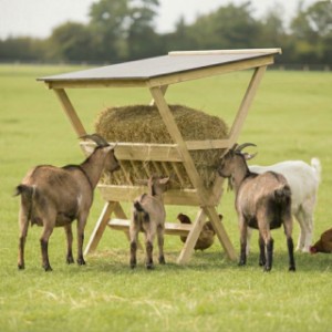 Door het betonplex dak blijft het hooi langer schoon en vers