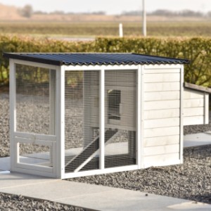 Neem een kijkje aan de achterkant van kippenhok Noah