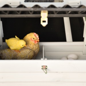 Het legnest van Noah is opgesplitst in 2 delen