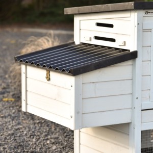 Dit is het legnest van Noah