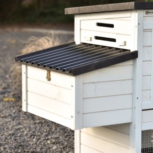 Dit is het legnest van Noah