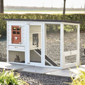 Konijnenhok Noah terra 136x64x87cm