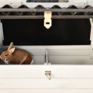 De nestkast aan de zijkant van Noah zorgt voor een groter nachthok