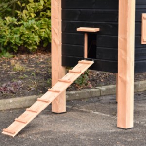 Via de loopplank van kippenhok Hooiberg Sjors kunnen kippen makkelijk in en uit het hok