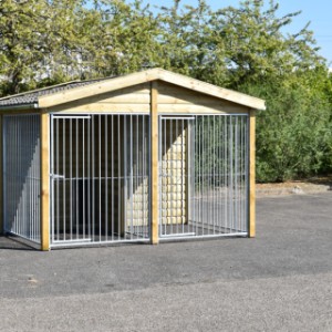 De hondenkennel Maxima is de oplossing om 2 honden gescheiden te houden!