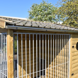 De hondenkennel Maxima is voorzien van tweedehandse dakpannen