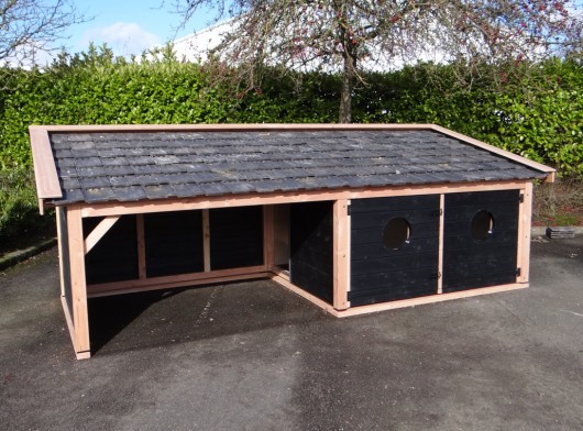 Schuilhok Rex zwart-douglas · XL nachthok