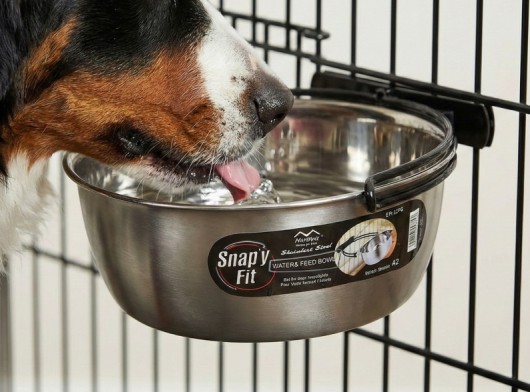 Snap'y Fit RVS voer - drink bak 42