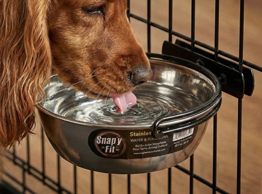 Snap'y Fit RVS voer - drink bak 40-20