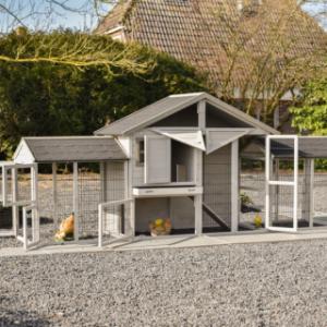 Kippenhok Holiday Medium Dubbel | met vele deuren