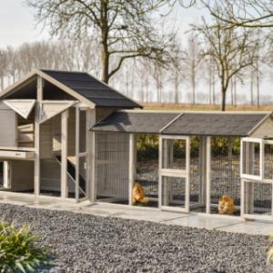 Het kippenhok Holiday Medium heeft vele openingen